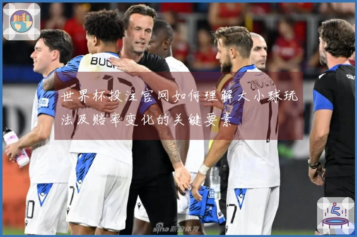 世界杯投注官网如何理解大小球玩法及赔率变化的关键要素