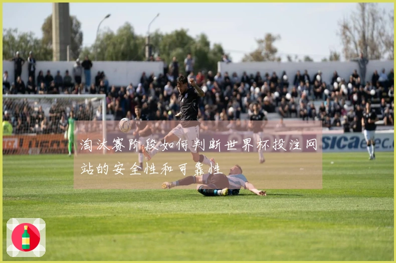 淘汰赛阶段如何判断世界杯投注网站的安全性和可靠性