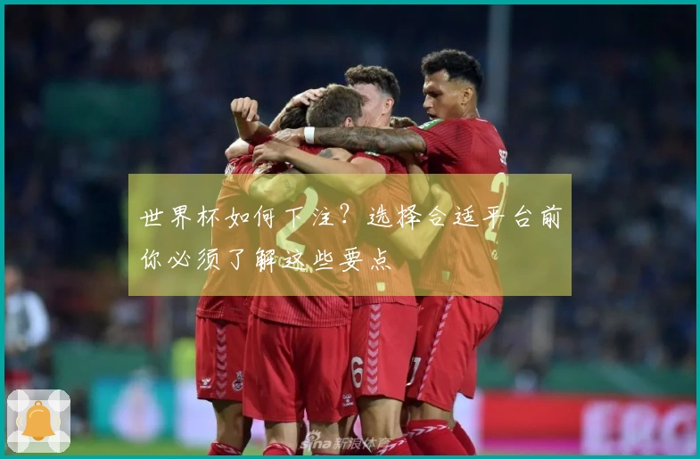 世界杯如何下注?选择合适平台前你必须了解这些要点