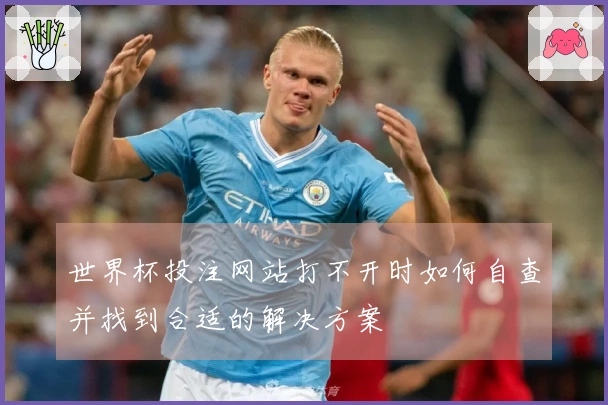 世界杯投注网站打不开时如何自查并找到合适的解决方案