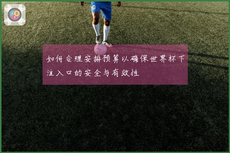 如何合理安排预算以确保世界杯下注入口的安全与有效性