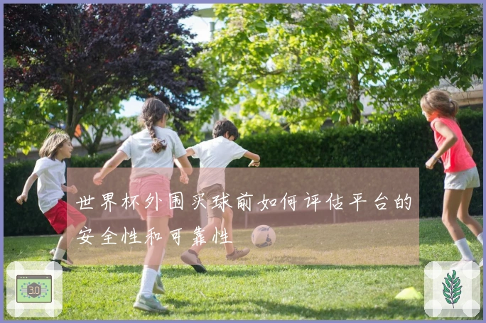 世界杯外围买球前如何评估平台的安全性和可靠性