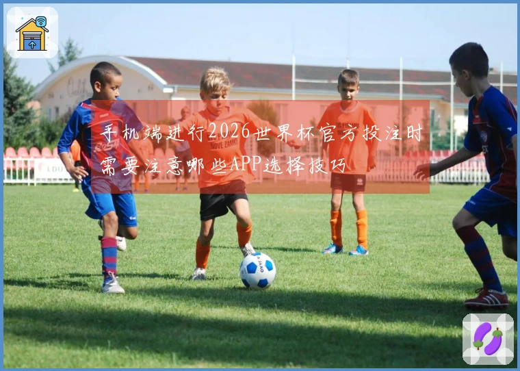 手机端进行2026世界杯官方投注时需要注意哪些APP选择技巧