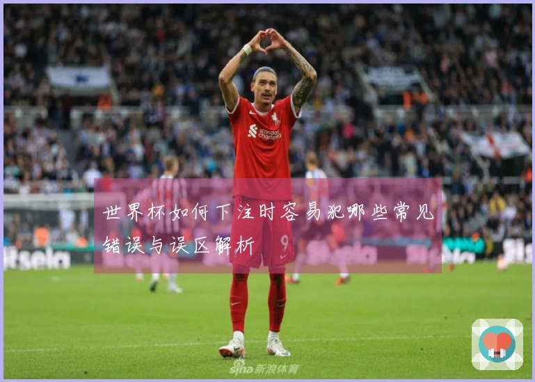 世界杯如何下注时容易犯哪些常见错误与误区解析