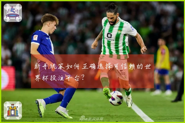 新手玩家如何正确选择可信赖的世界杯投注平台？