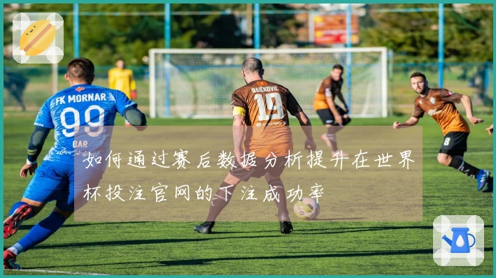 如何通过赛后数据分析提升在世界杯投注官网的下注成功率