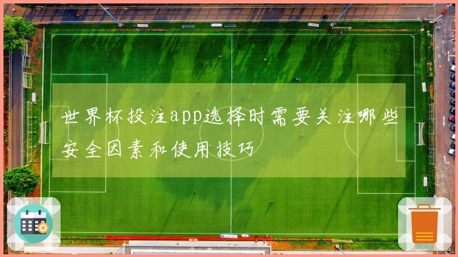 世界杯投注app选择时需要关注哪些安全因素和使用技巧