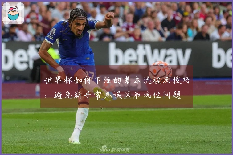 世界杯如何下注的基本流程及技巧，避免新手常见误区和坑位问题