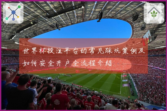 世界杯投注平台的常见踩坑案例及如何安全开户全流程介绍