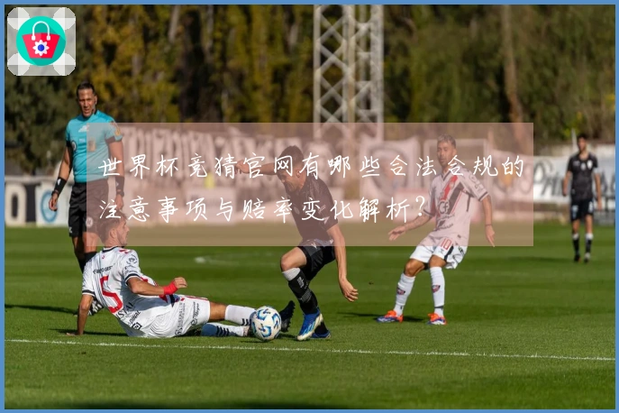 世界杯竞猜官网有哪些合法合规的注意事项与赔率变化解析？