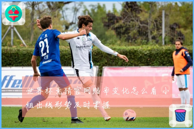 世界杯竞猜官网赔率变化怎么看 小组出线形势及时掌握
