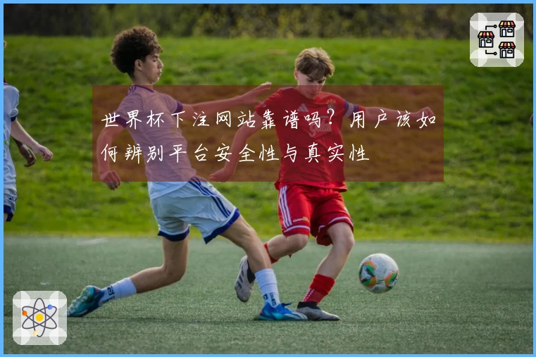 世界杯下注网站靠谱吗？用户该如何辨别平台安全性与真实性