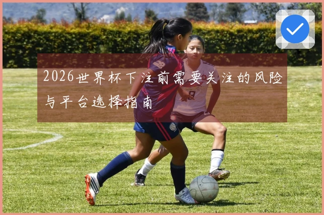 2026世界杯下注前需要关注的风险与平台选择指南