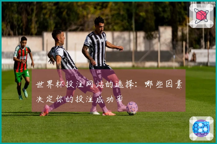 世界杯投注网站的选择：哪些因素决定你的投注成功率