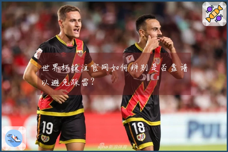 世界杯投注官网如何辨别是否靠谱以避免踩雷？