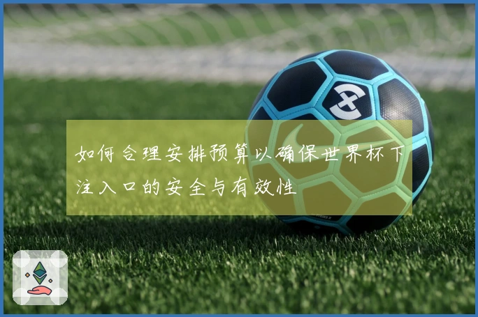 如何合理安排预算以确保世界杯下注入口的安全与有效性