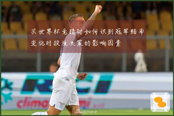 买世界杯竞猜时如何识别冠军赔率变化对投注决策的影响因素