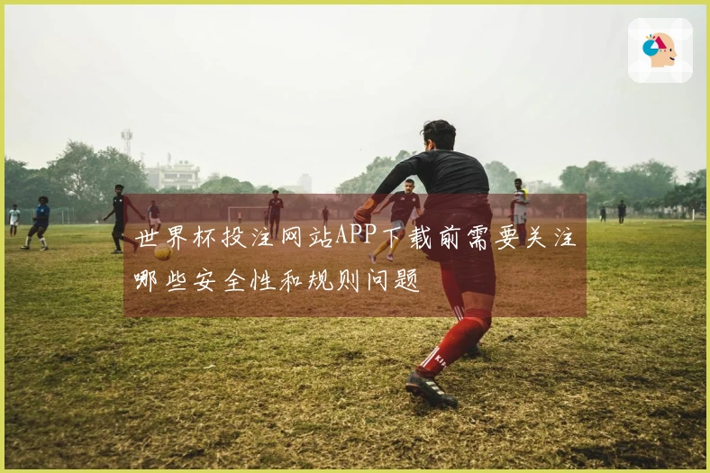 世界杯投注网站APP下载前需要关注哪些安全性和规则问题