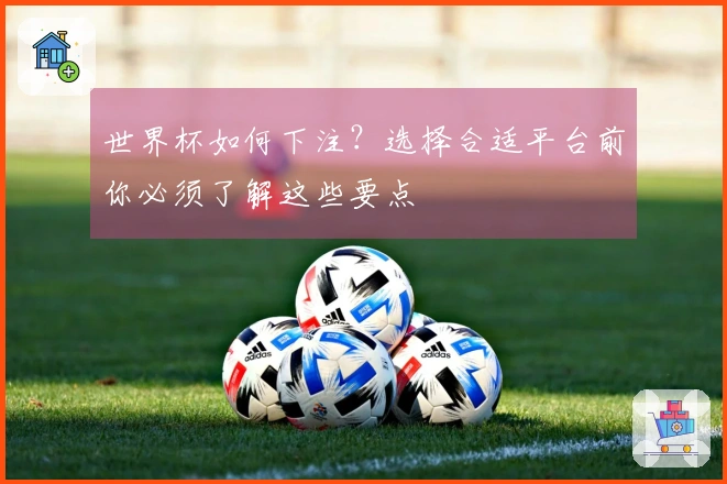 世界杯如何下注？选择合适平台前你必须了解这些要点