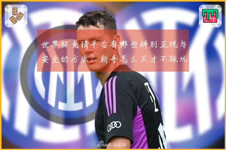世界杯竞猜平台有哪些辨别正规与安全的方法？新手怎么买才不踩坑