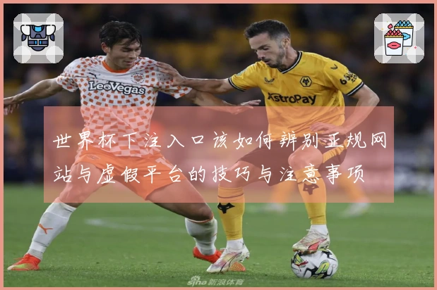 世界杯下注入口该如何辨别正规网站与虚假平台的技巧与注意事项