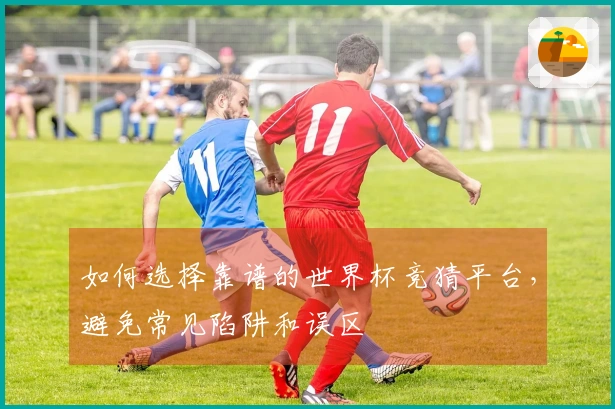 如何选择靠谱的世界杯竞猜平台,避免常见陷阱和误区