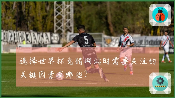 选择世界杯竞猜网站时需要关注的关键因素有哪些？