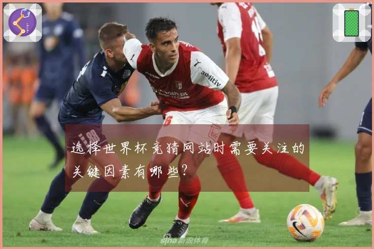 选择世界杯竞猜网站时需要关注的关键因素有哪些？