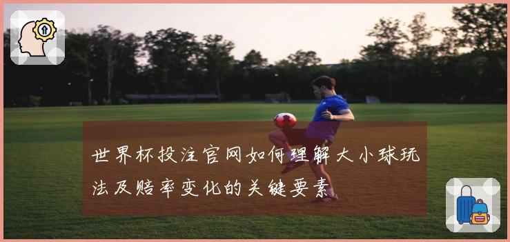 世界杯投注官网如何理解大小球玩法及赔率变化的关键要素