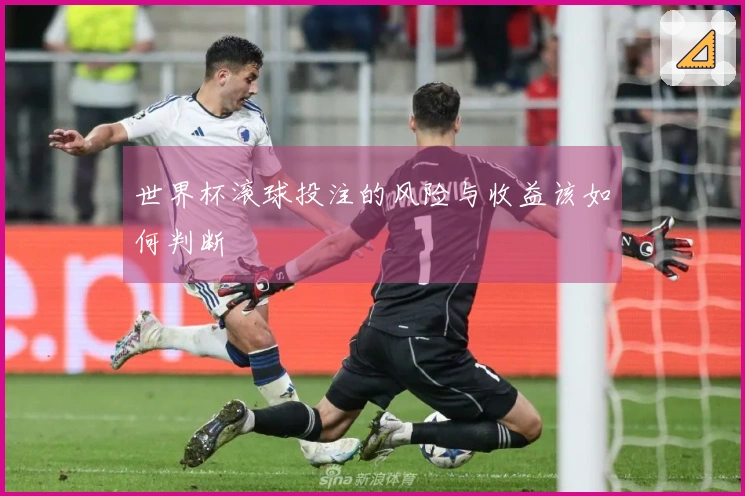 世界杯滚球投注的风险与收益该如何判断