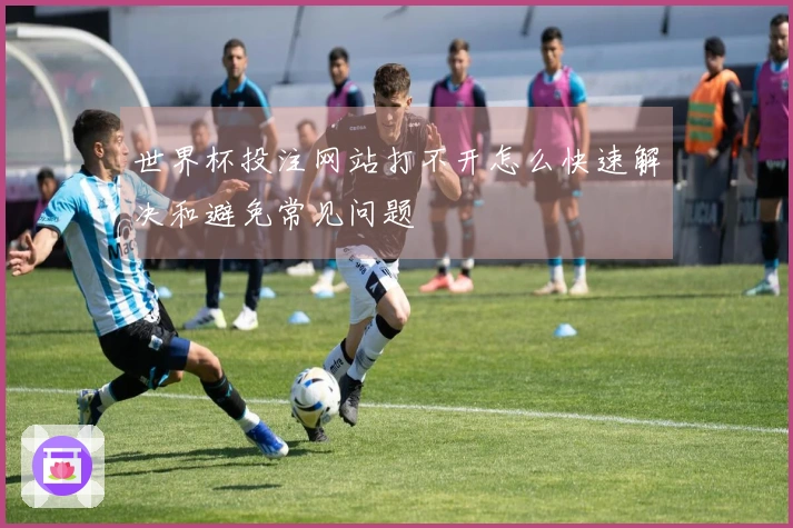 世界杯投注网站打不开怎么快速解决和避免常见问题
